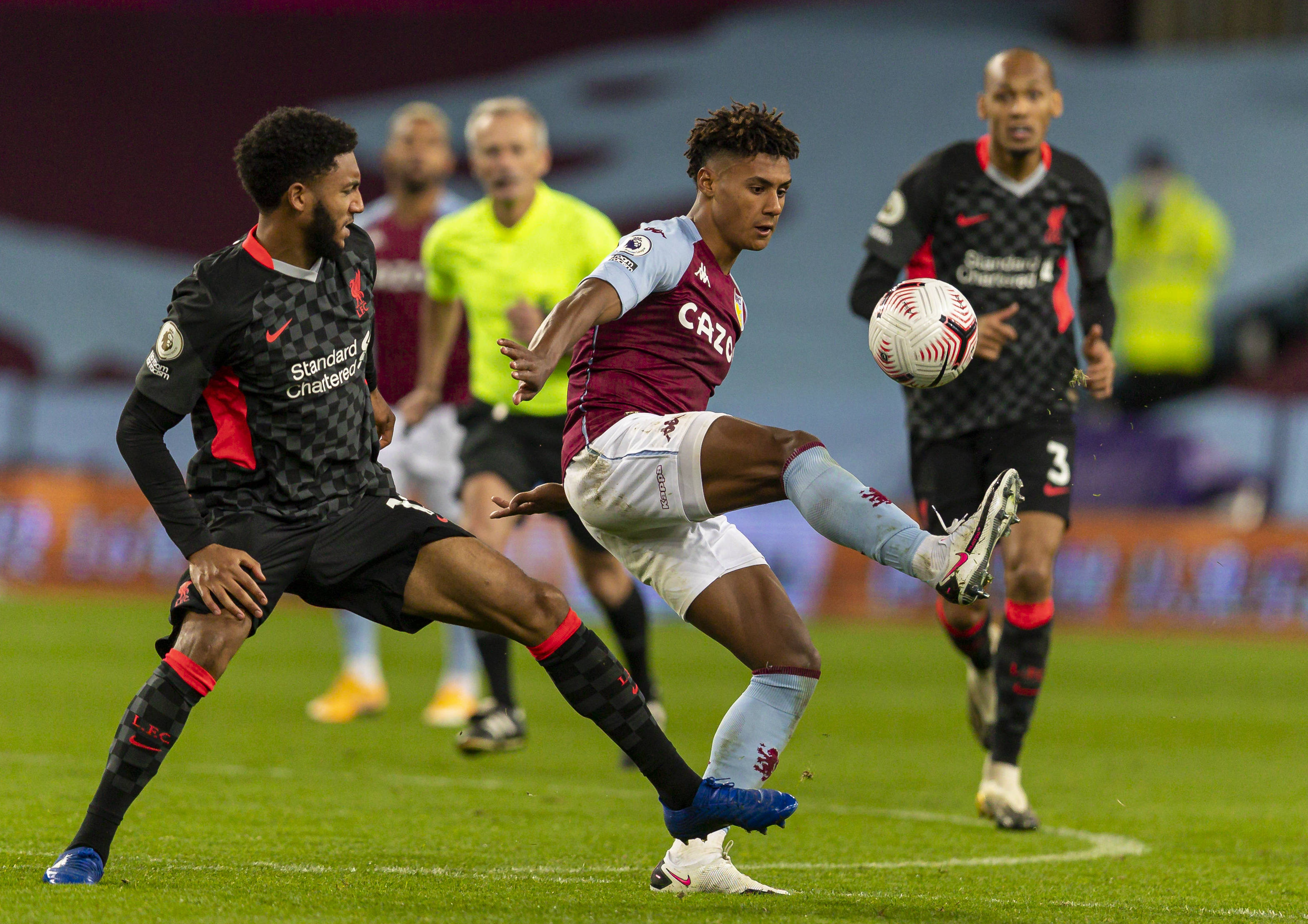 它为我们树 它为我们树